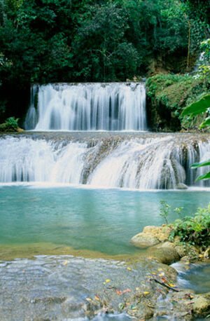 YS Falls & Appleton Rum Factory Combo Tour Package